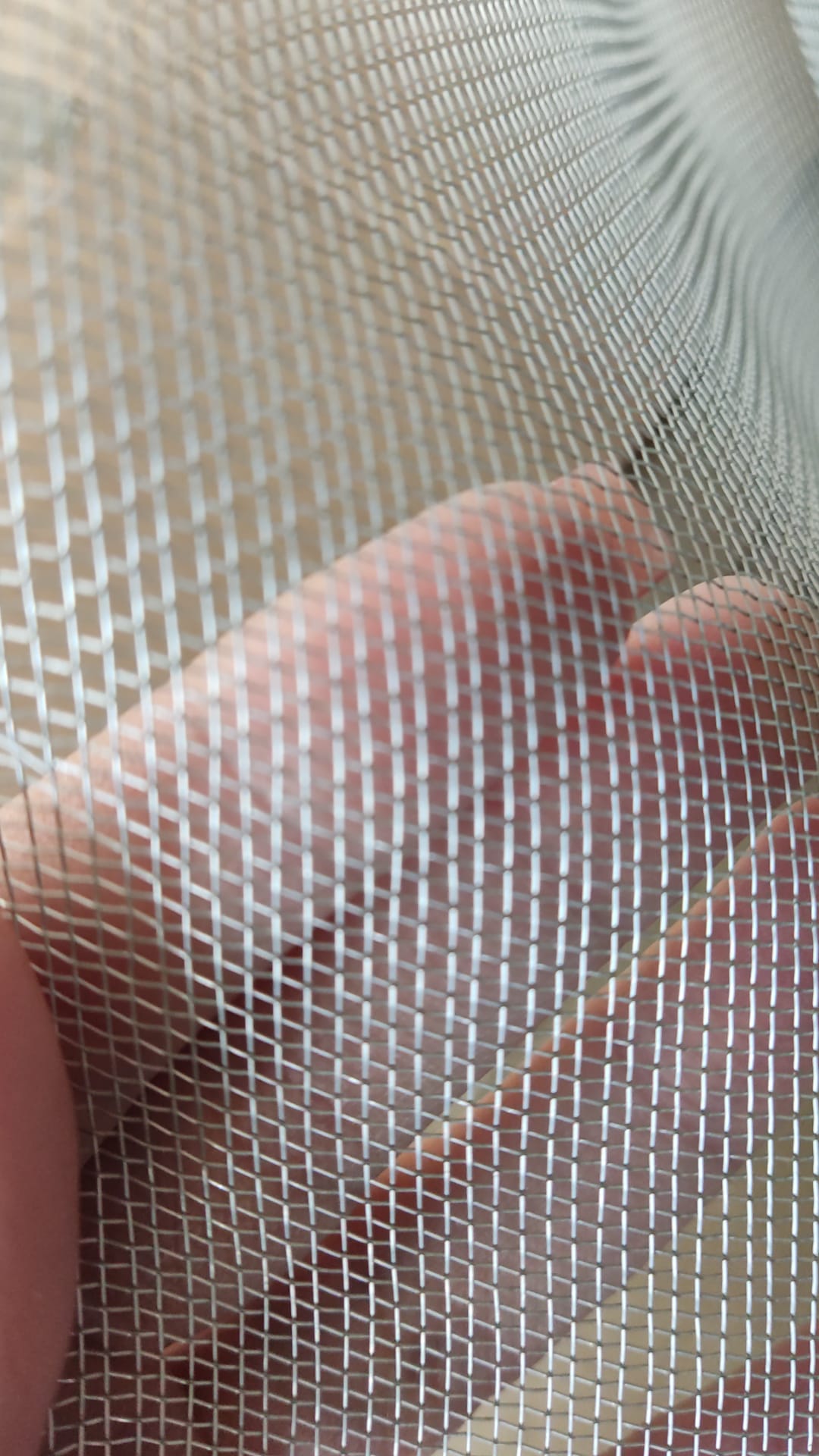 Siets, kas drošs pret kaķiem